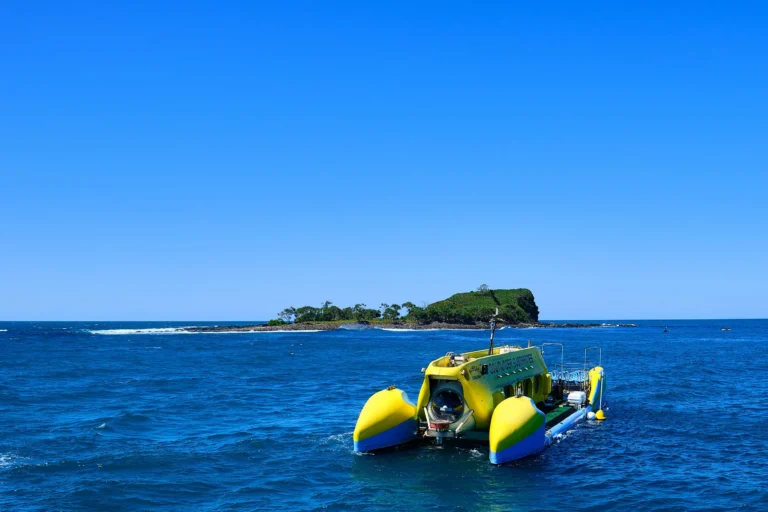 Capturing the Moment: Submarine Photography Tips