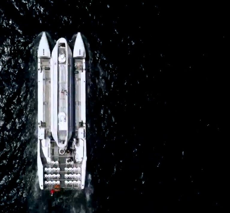 Marine Life You’ll See Beneath George Town