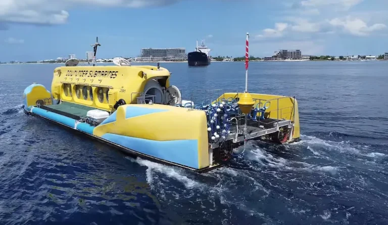 What to Expect on Your Yellow Submarine Tour